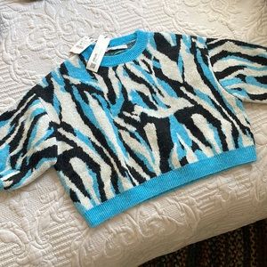 Zara Crop Sweater NWT